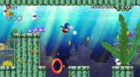 New Super Mario Bros. Wii screenshots